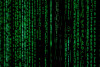 Is Your eCommerce Website Really Secure?